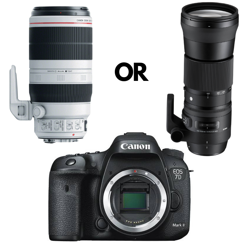 FOTORENTALBUSHKIT_2_2048x.png?